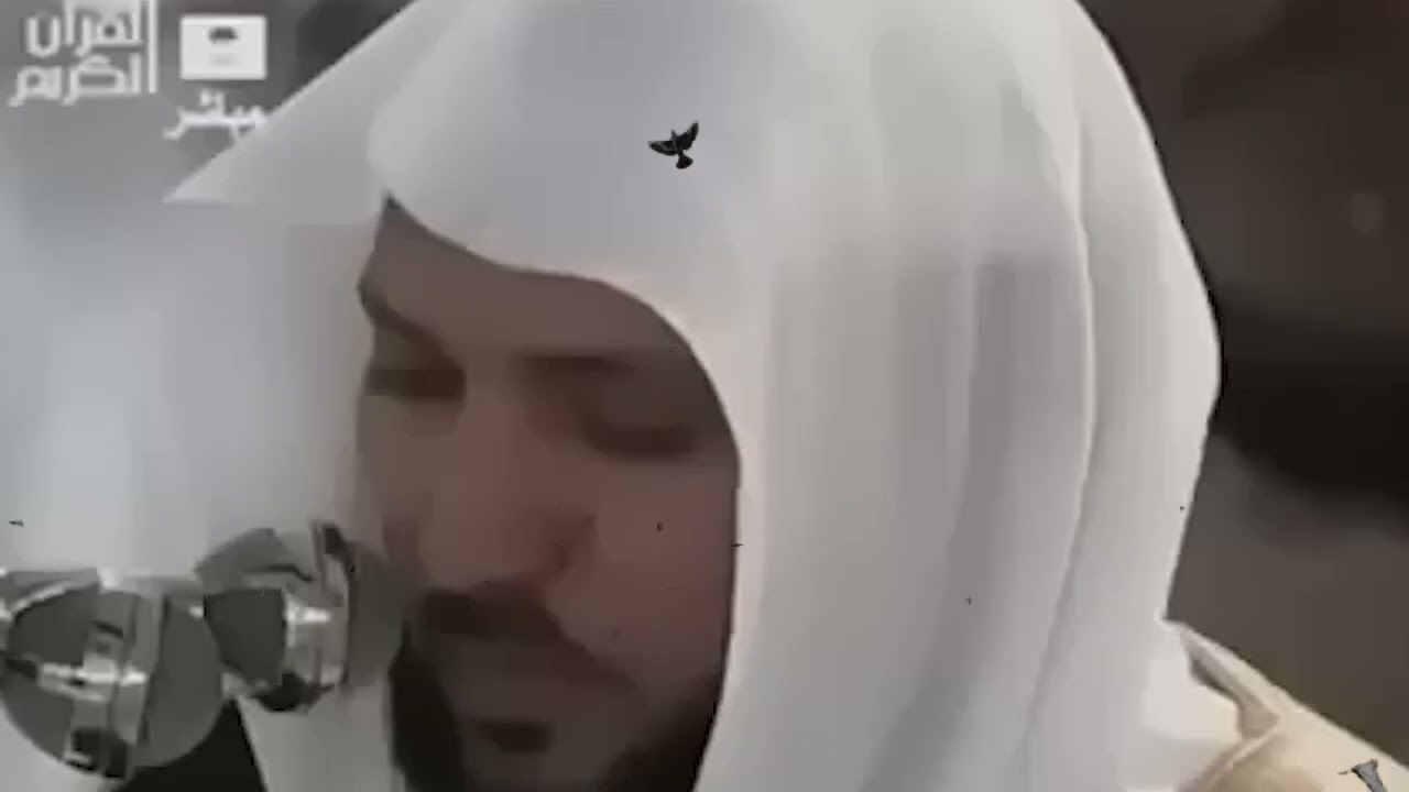 سورة البقرة ( كاملة ) بصوت الشيخ ماهر المعيقلي | Sourat al baqara maher almuaiqly