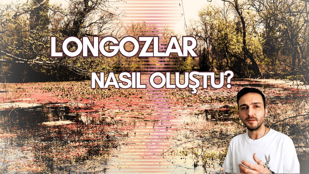 Türkiye'nin Gizli Amazonları: "Acarlar Subasar Ormanı"