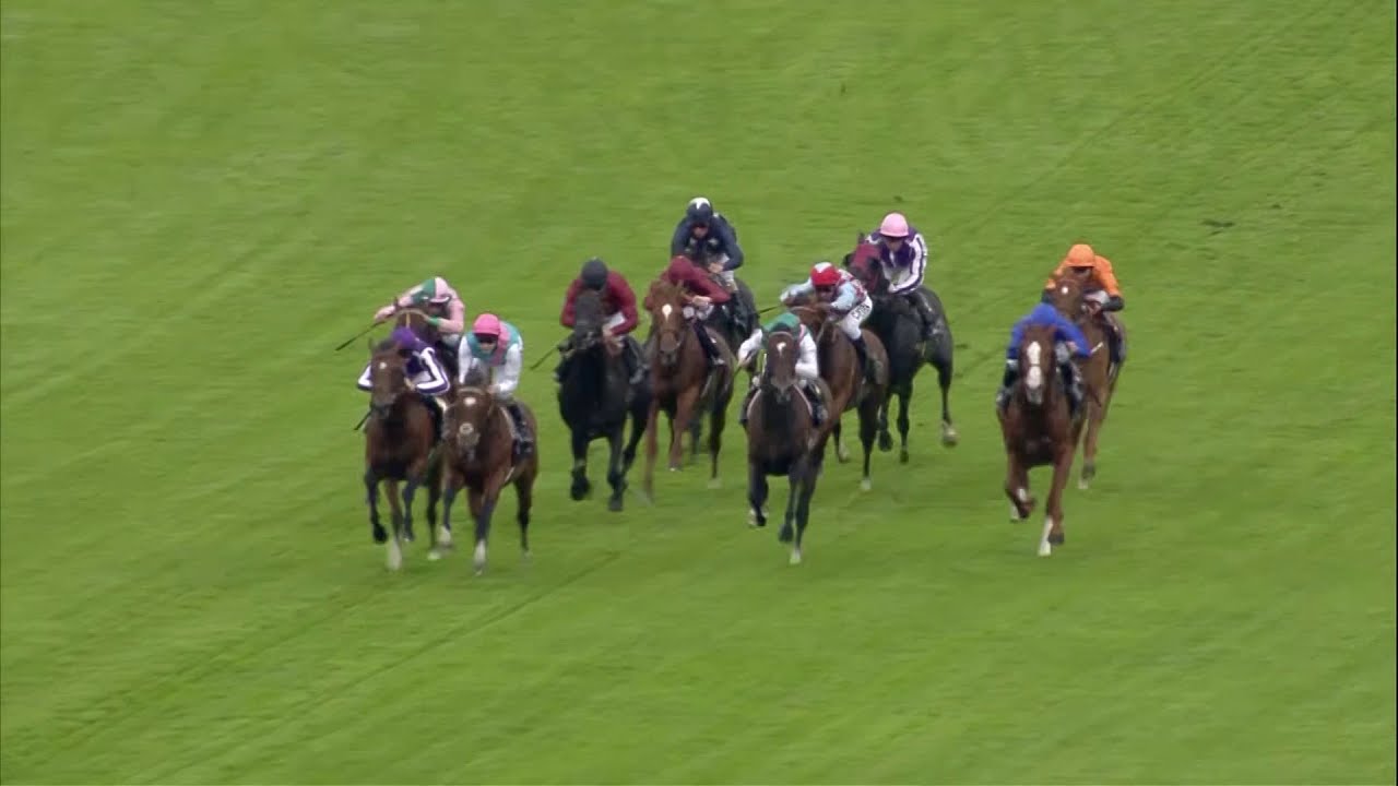 Лучшая победа Франкеля? Скачки Queen Anne Stakes 2012 года на Royal Ascot!