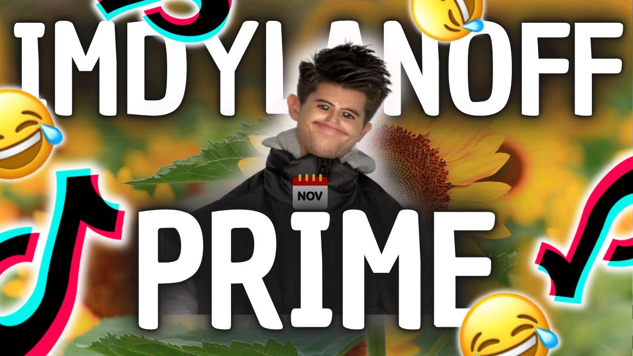 LES MEILLEURS TIKTOK D’IMDYLANOFF AOÛT 2024 (Ce pote qui pète h24 🤣)