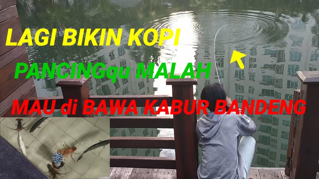 IKAN BANDENG TUNGGU gUah #hendriklikefishing #mancingikanbandengliar