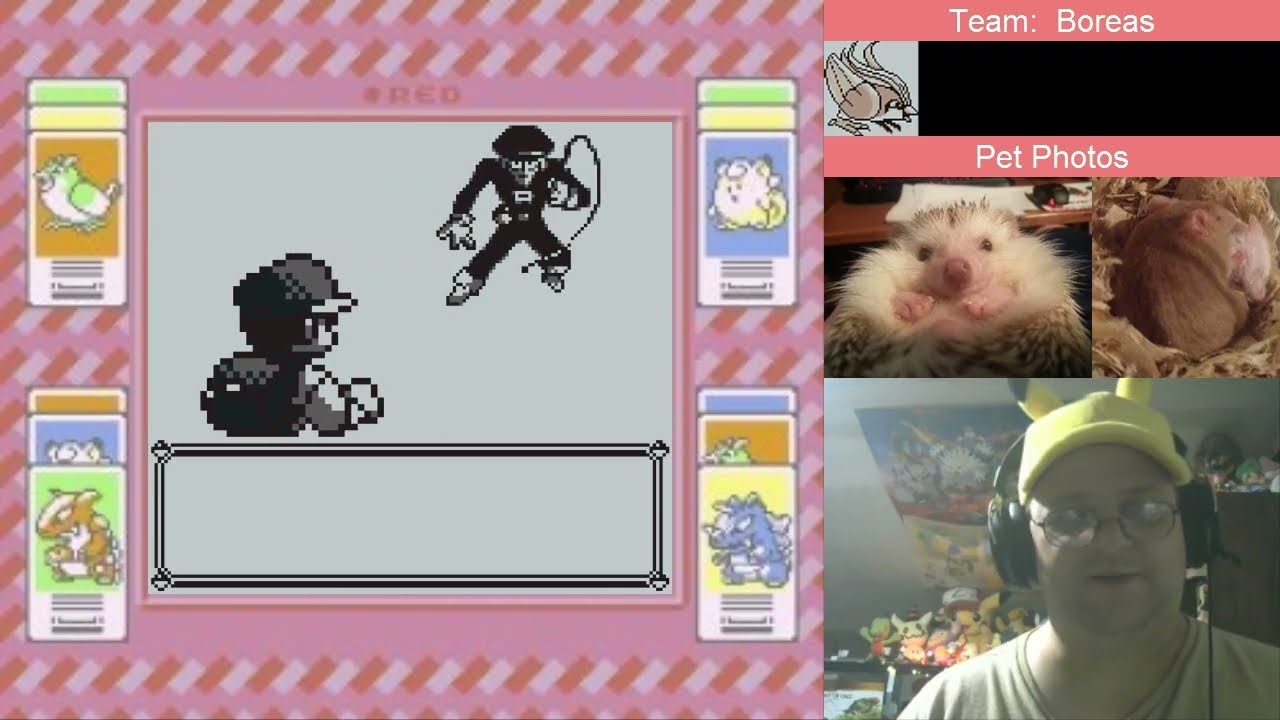 Pokémon Red: Пиджи/Пиджиот – Часть 18