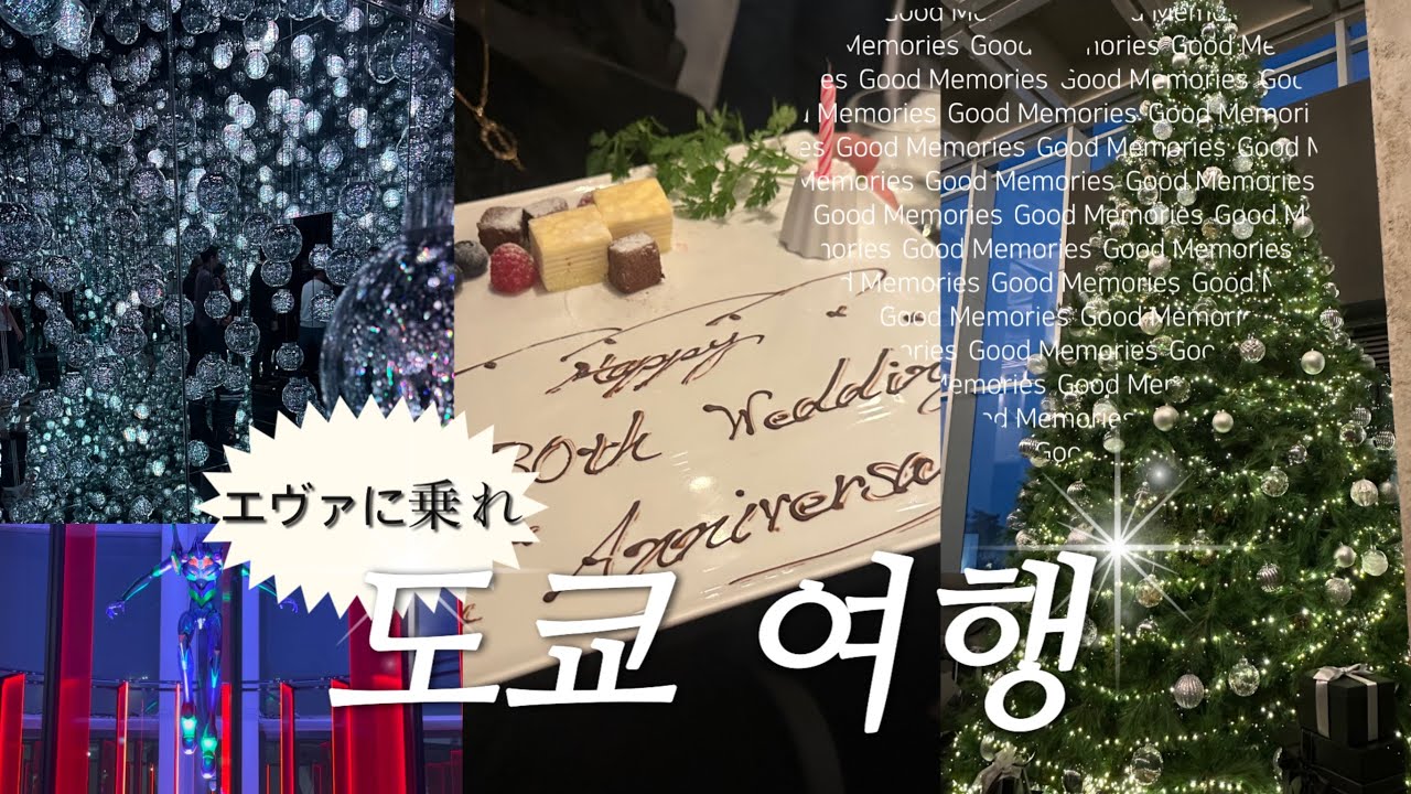 부모님과 함께한 도쿄 여행 브이로그 ❤️ | 결혼 30주년 기념 여행 | 파워 J 도쿄 여행 관광 리스트 | 팡메종 긴자 | 도쿄 타워 야경 | 도쿄 맛집 | 오다이바 쇼핑