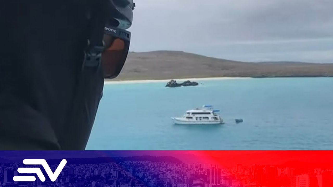 Daniel Noboa le declara la guerra a bandas criminales | Televistazo | Ecuavisa
