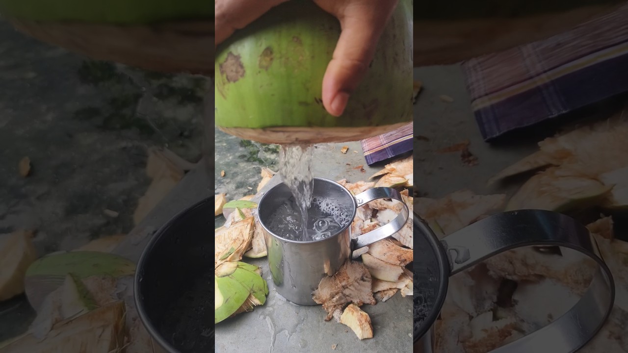 Coconut water is being extracted 