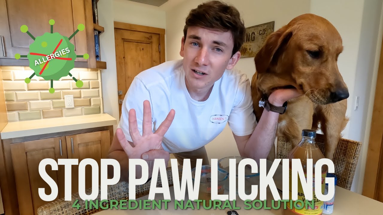 How to STOP Your Dog From Licking Their Paws | Combat Allergies and Stop Paw Chewing Naturally