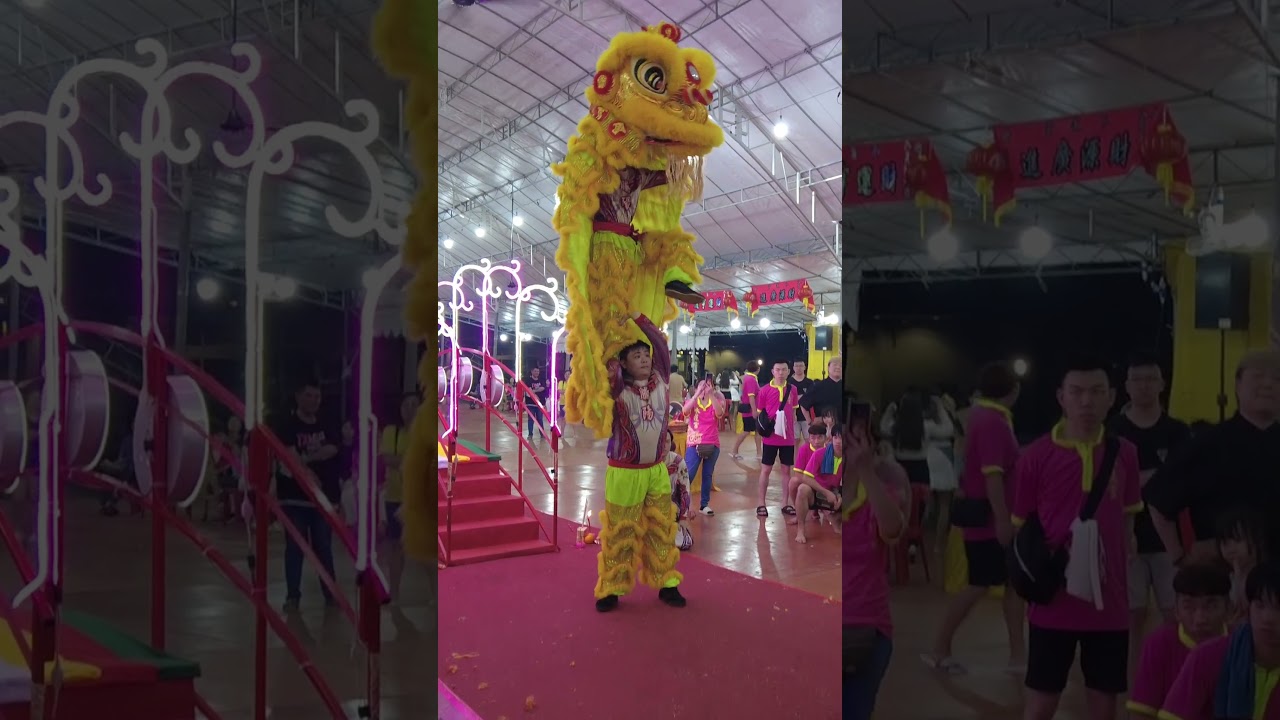 Teng Yang Cai Qing at Shui Lian Gong Temple Event on 29 Sept 2023 腾陽菜青表演 #shorts #liondance