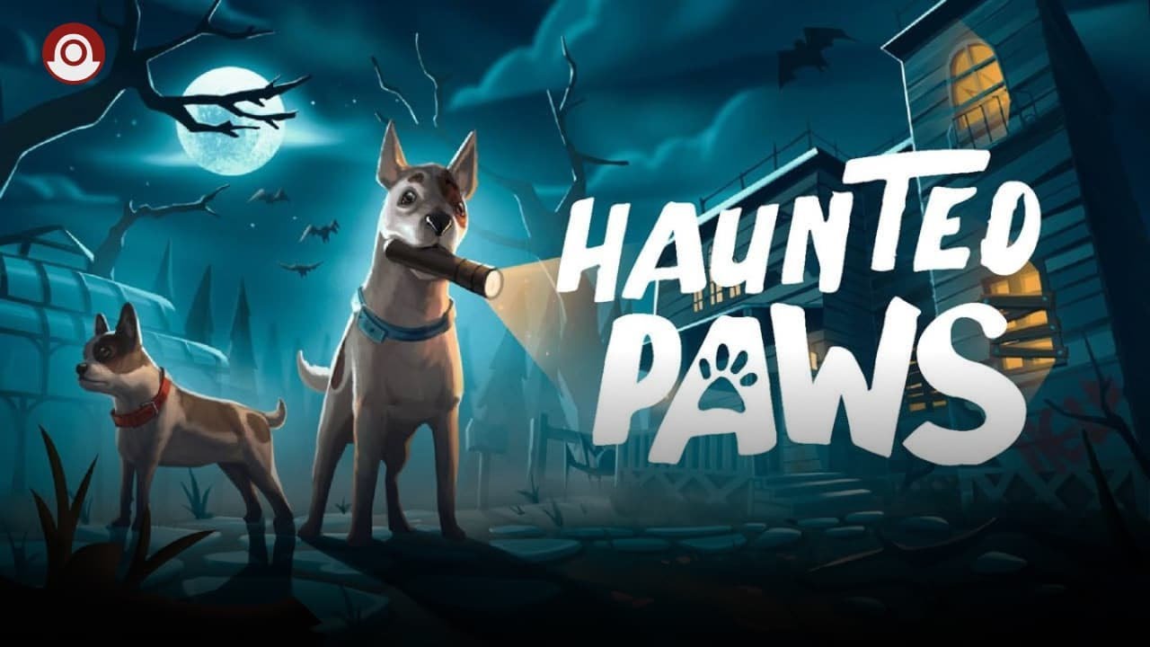 Wie sehr gruseln sich kleine Hunde?