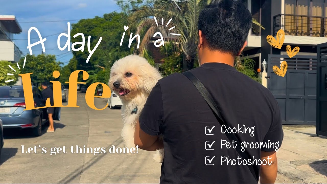 A day in a life ✨ | cooking, pet grooming, photoshoot
