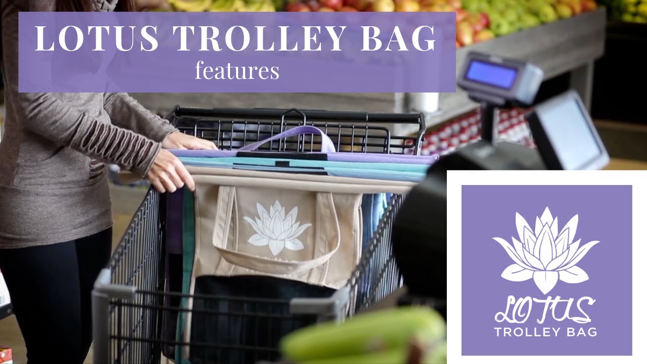 What Makes the Best Reusable Grocery Bags? Watch and Learn
