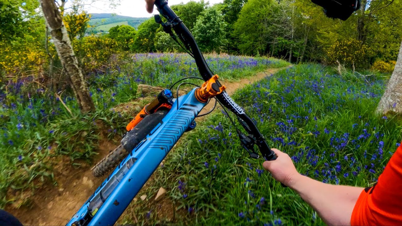 Они называют это Purple Haze &mdash; Aberfeldy MTB