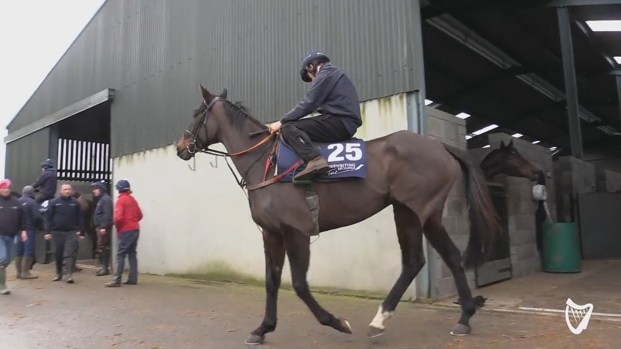 VIDEO: Gordon Elliott reveals the facilities he's added over the last 12 months