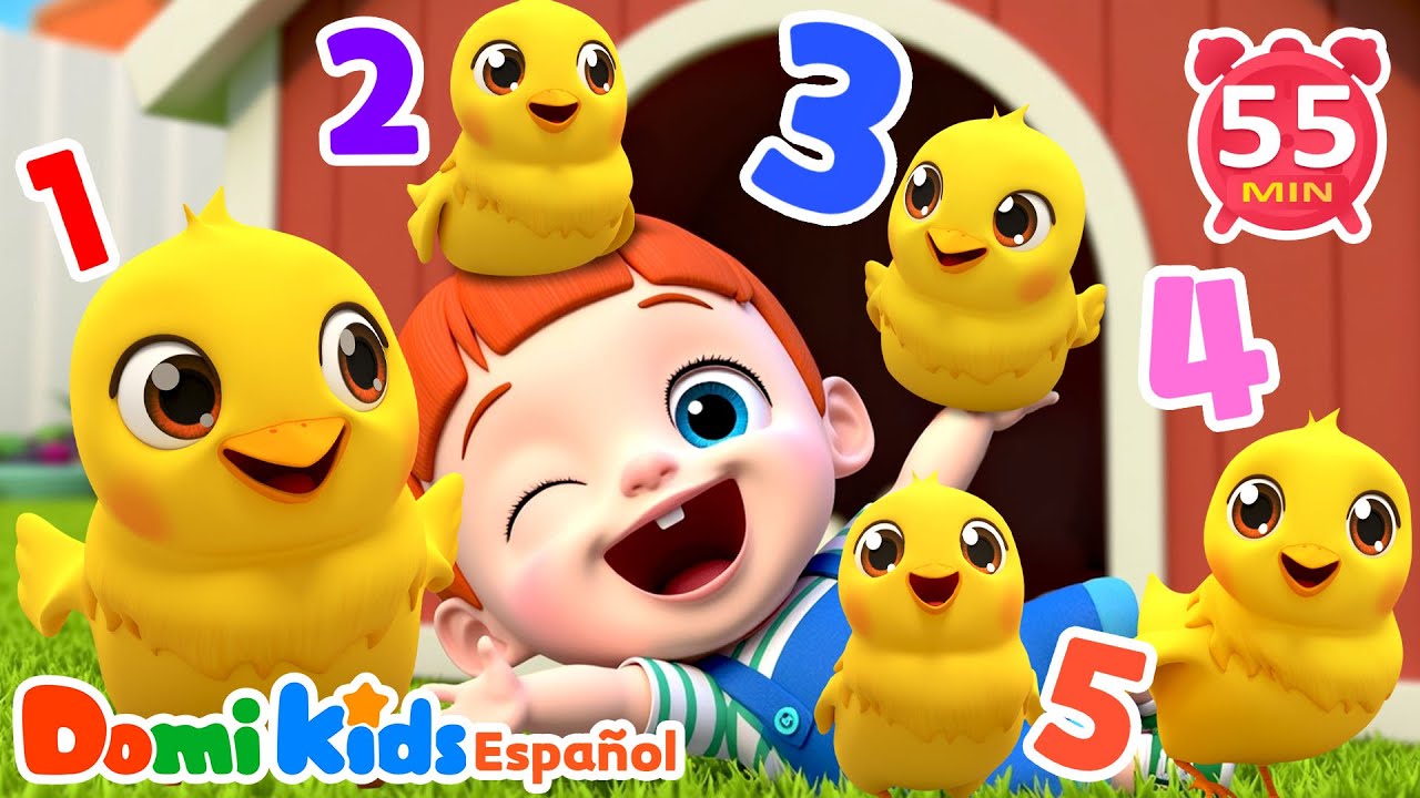 🐥🎶 Cinco Pollitos Cantando | Canciones Infantiles Populares | Domi Kids