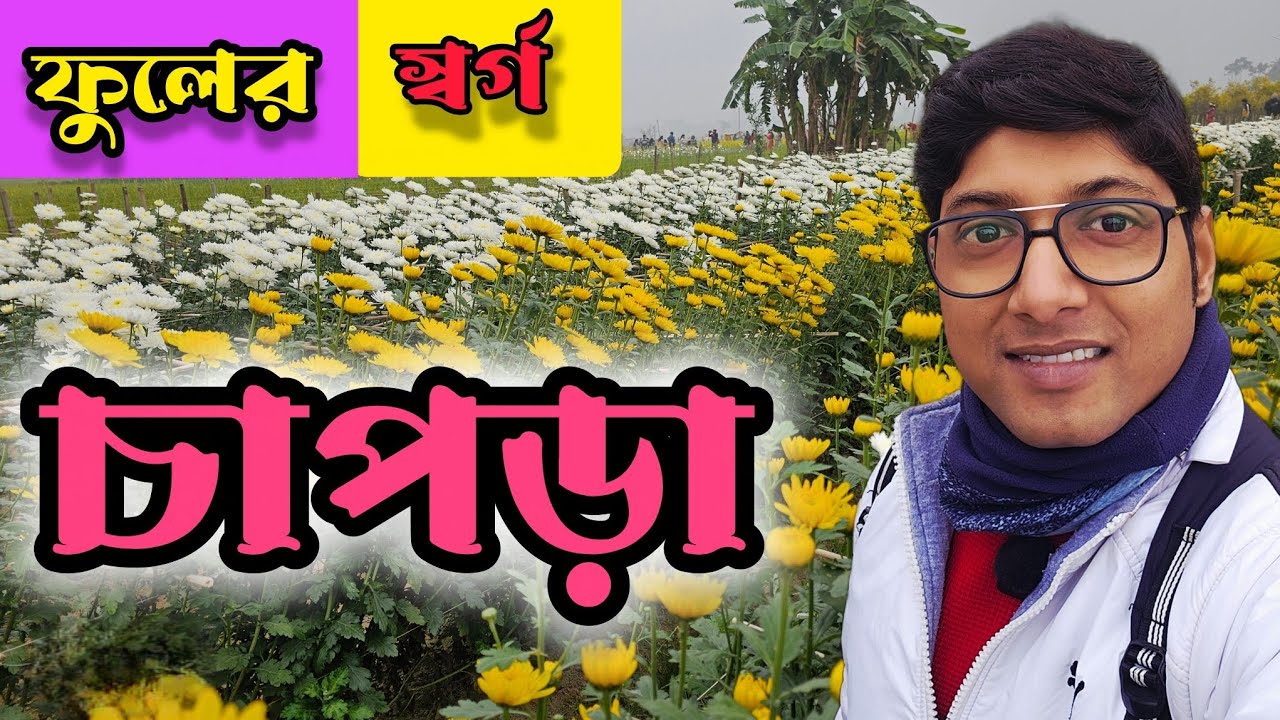 ফুলের স্বর্গ রানাঘাটের চাপড়া। Chara Flower Valley