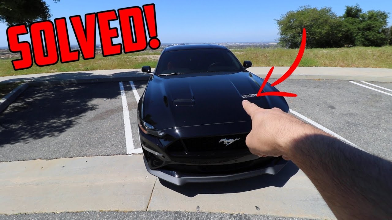 2019 Mustang GT ENGINE RATTLE AND TICK FIX! (EASY)