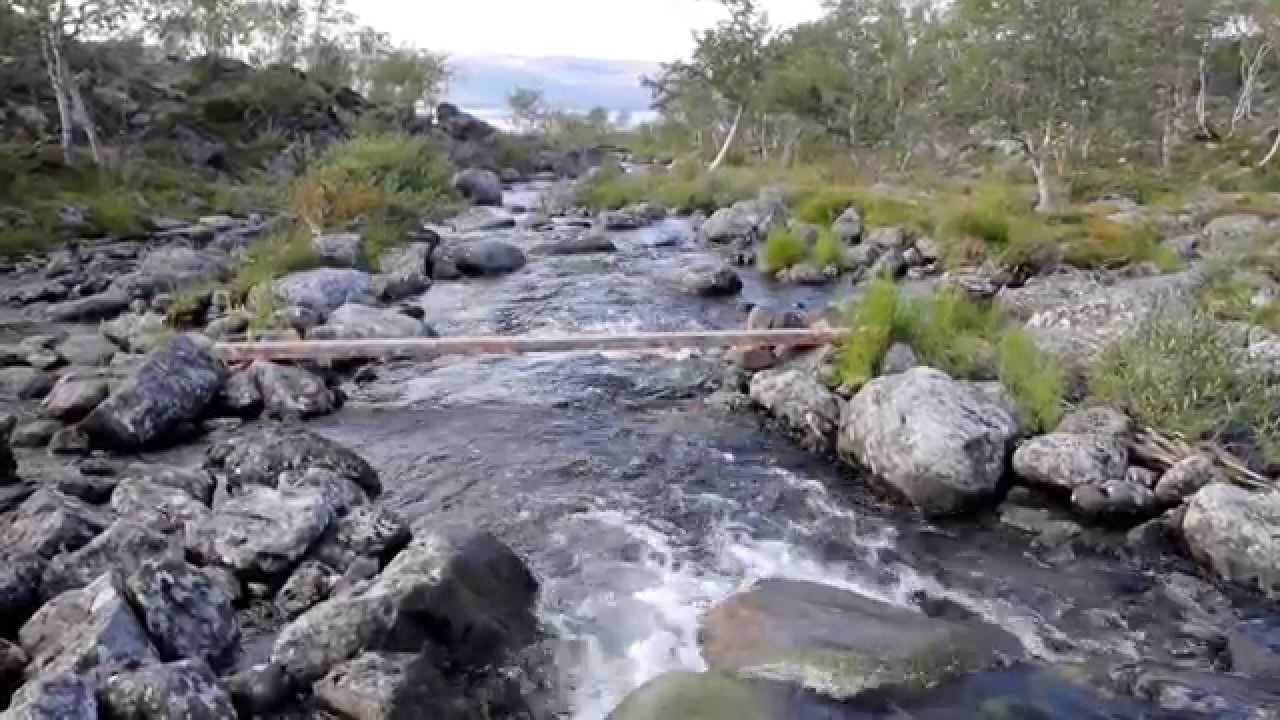 Termisj&auml;rvi, elokuu 2014