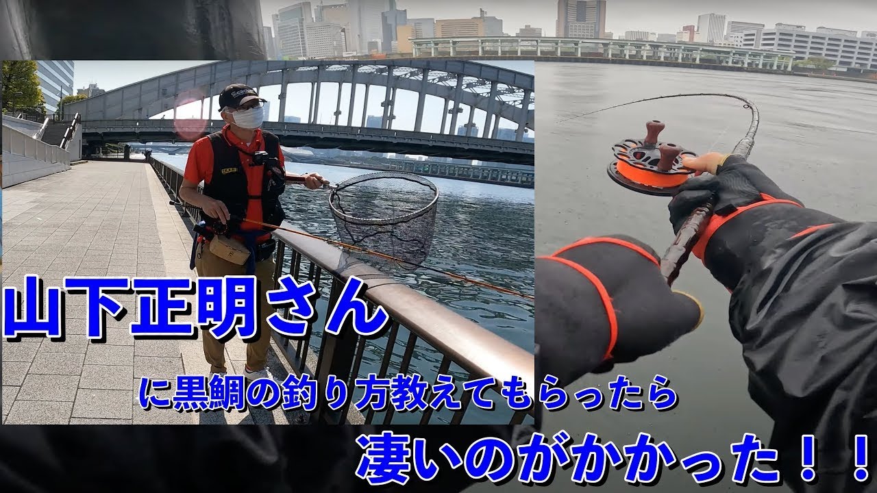 [ヘチ釣り] 山下正明さんに黒鯛の釣り方を教えてもらう！！　#旭信