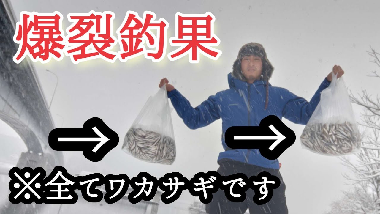【ワカサギ釣り】ワカサギ3845匹釣りました。【河口湖】