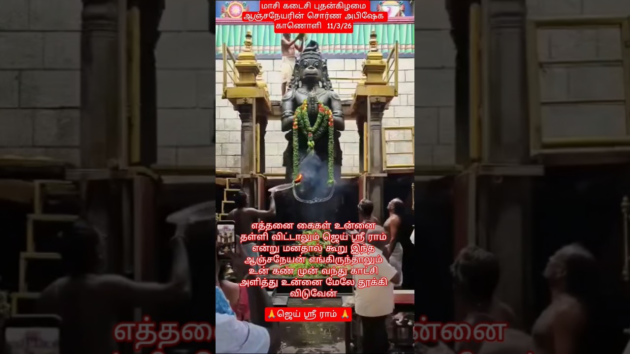 மாசி கடைசி புதன் ஆஞ்சநேயரின் சொர்ண அபிஷேக காணொளி #youtube #shorts #trending #viral #share #share