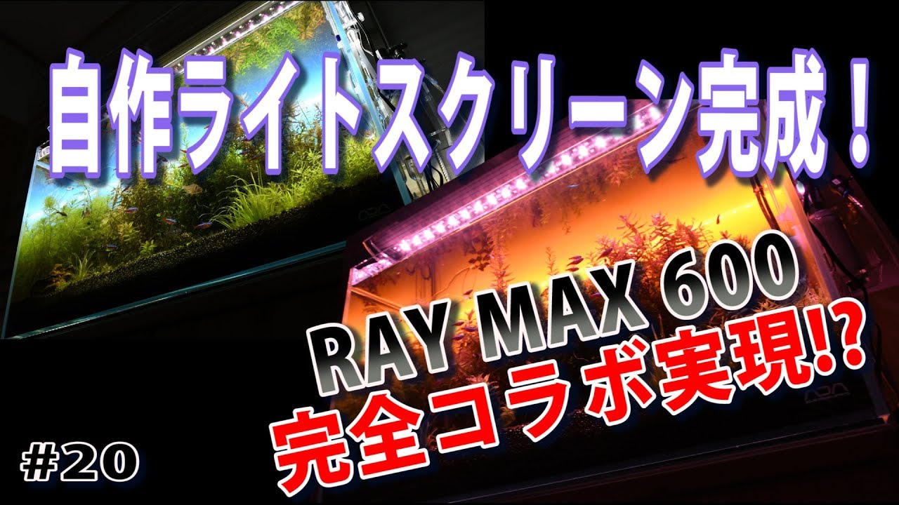 【自作ライトスクリーン完成】レイマックス600とのコラボで日中と夕焼けを美しく再現!?(Handmade Light Screen)【水草水槽 (Planted aquarium)】#20
