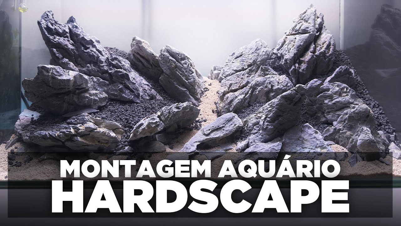 Como MONTAR um AQUÁRIO PLANTADO - Passo a passo Completo