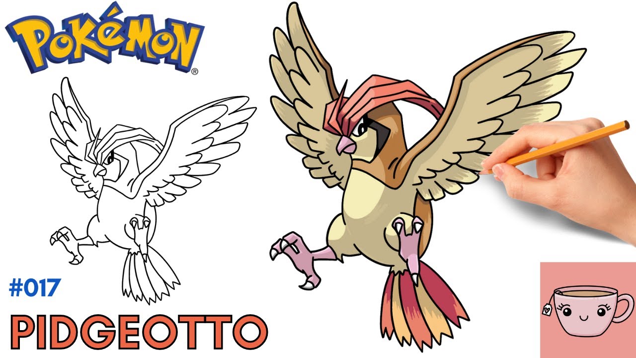 How To Draw Pidgeotto | Pokemon 