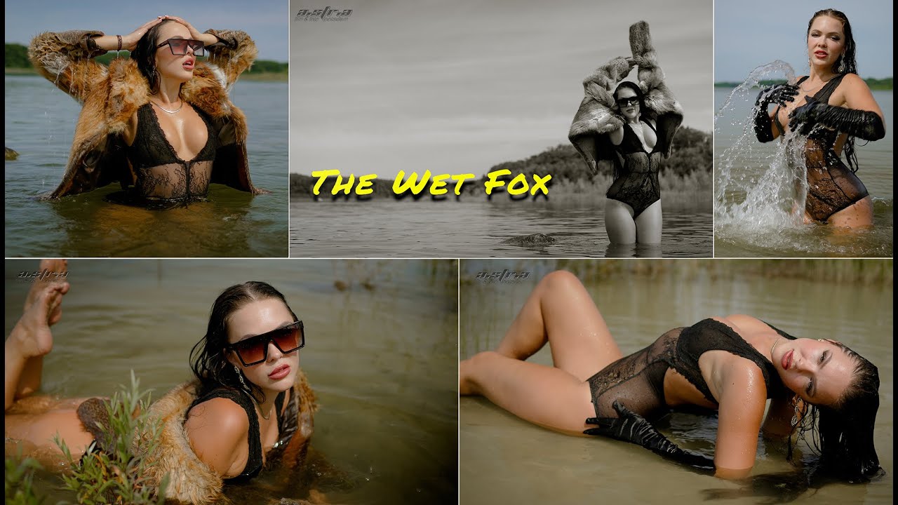 The Wet Fox (Trailer) 4K