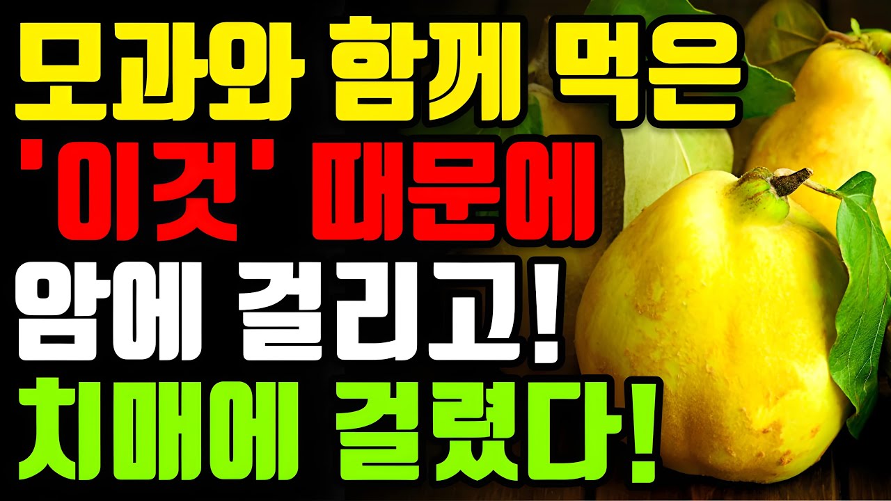 모과와 절대로 함께 먹지마세요! 암과 치매에 걸릴 수 있습니다! - 모과 최악의 궁합인 3가지와 만성 염증과 독소 싹 빼주는 최고의 레시피 3가지 [환절기, 면역력, 건강 정보]