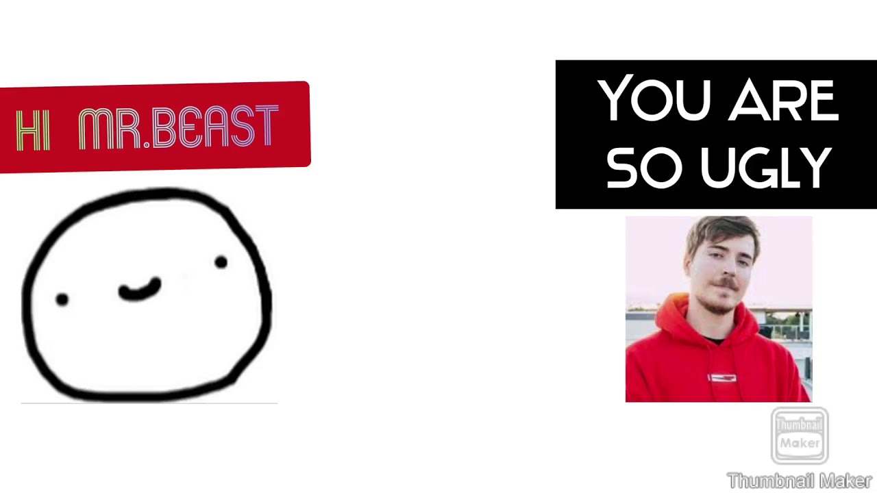Mr.Beast roast Bruhify