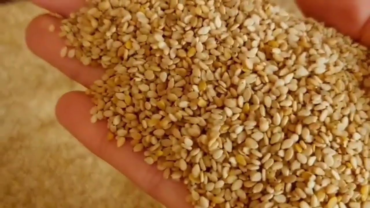 وداعا لعذاب تنقية الزنجلان/هذه طريقة غسله  لغتهنيك من عذاب التنقية👍