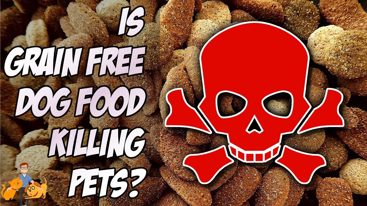 Grain Free Dog Food: does it cause heart failure? (FDA warning)