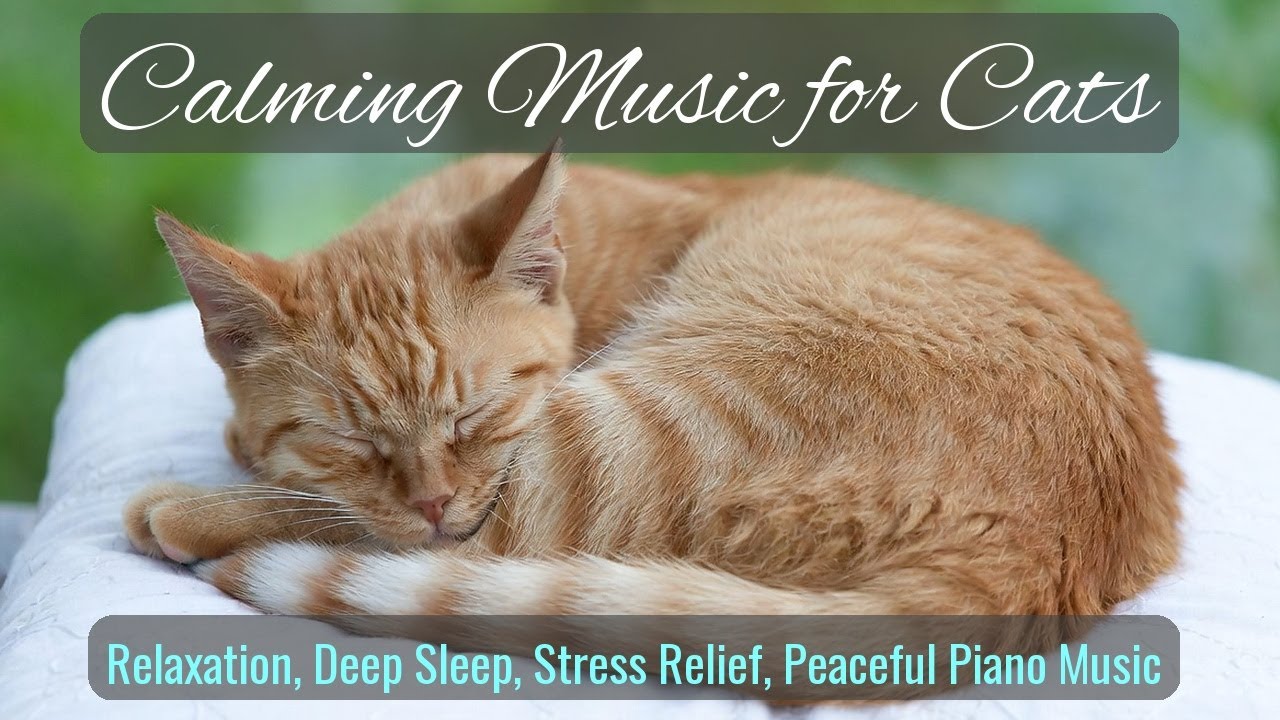 Calming Music for Cats - Relaxation, Deep Sleep, Stress Relief, Peaceful Piano Music | Season 23