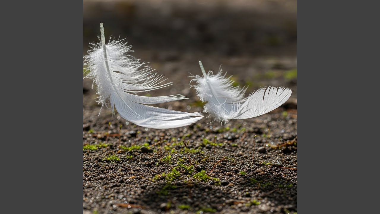 Sepasang Merpati Tua