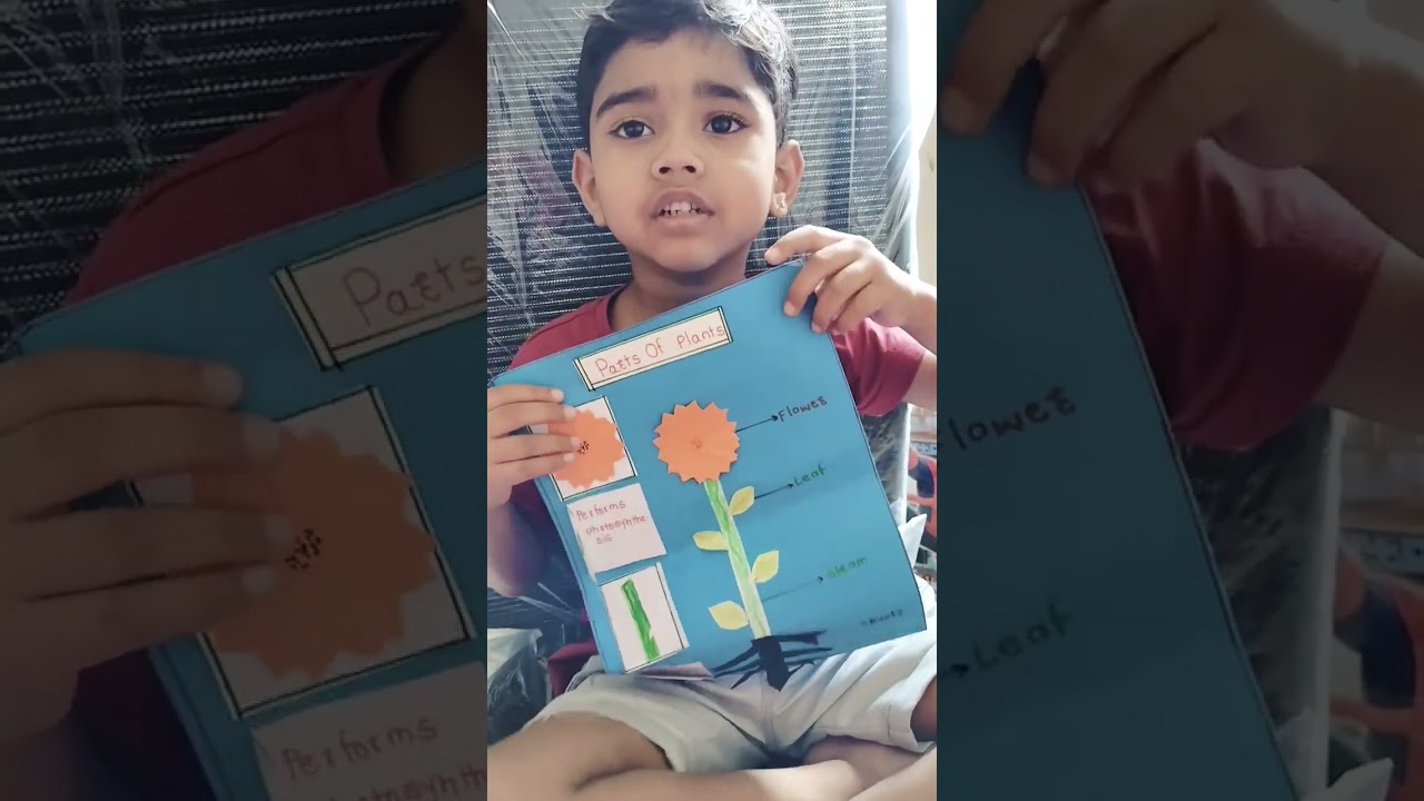 parts of plants #show and tell#shortvideo