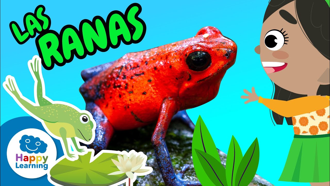 Curiosidades Fascinantes sobre las Ranas | Happy Learning 🐸🌿✨