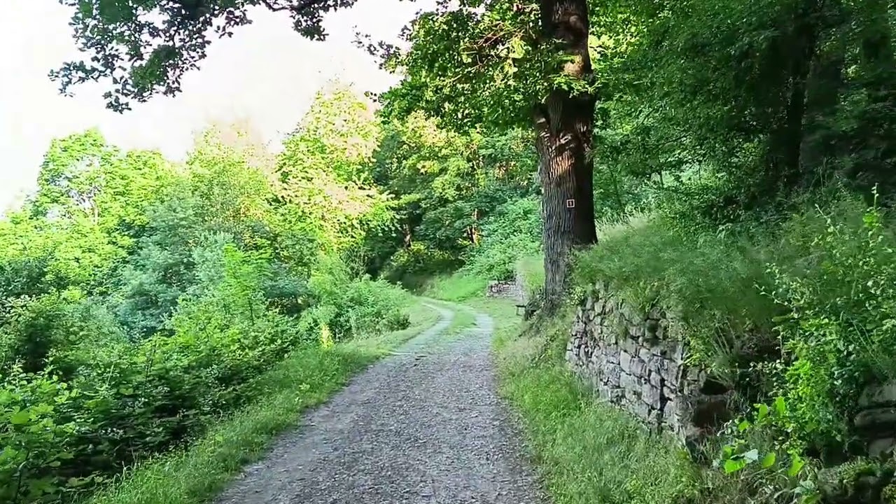 Miltenberg Nord Promilleweg zum Franziskanerkloster Engelberg Großheubach
