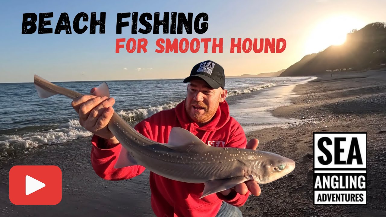 Sea Fishing Uk | Beach Fishing for Sharks | Travel to East Devon