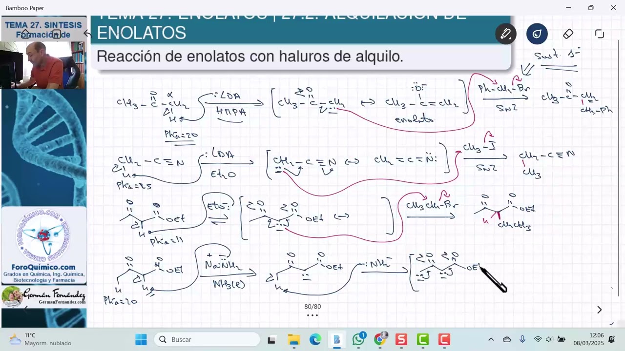 TEMA 27. FORMACIÓN DE ENLACES C-C | ENOLATOS | 27.2. ALQUILACIÓN DE ENOLATOS