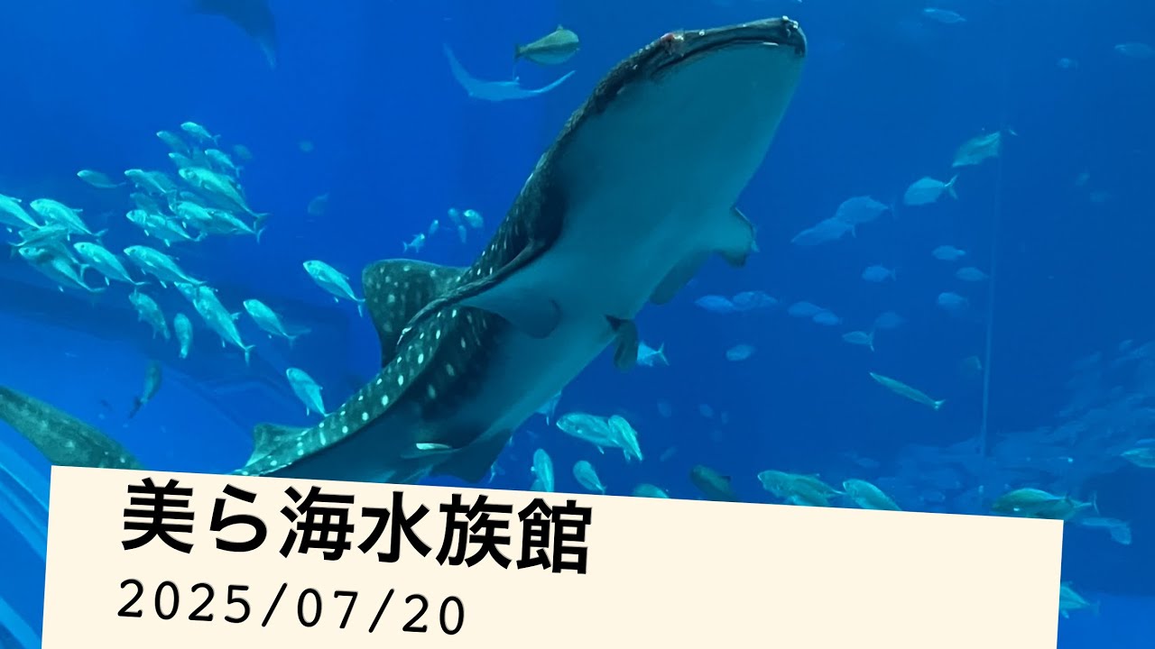 【GoPro】2025/07/20沖縄美ら海水族館に行って来た。