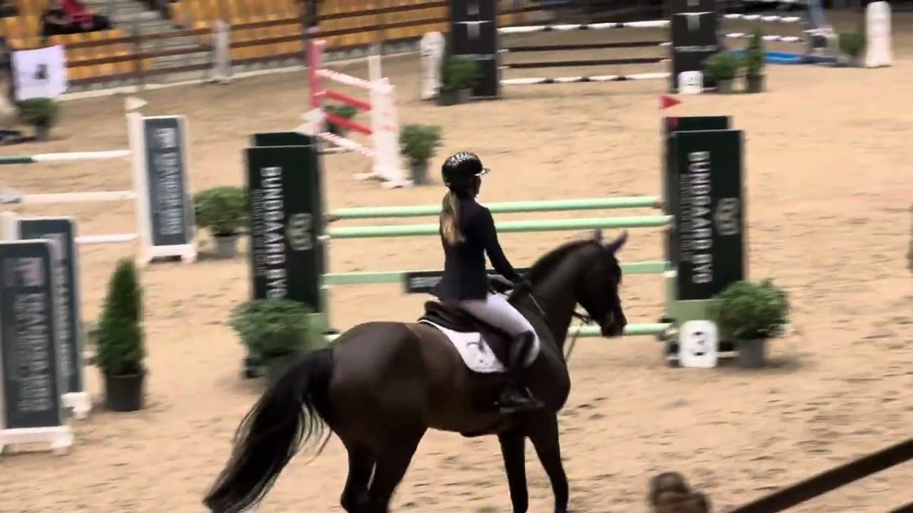 EQS Curly Sue - 8y Crawley / Cristofin