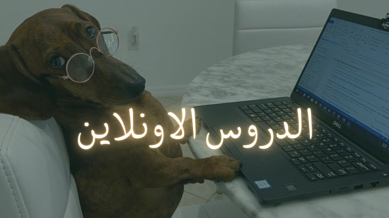 إزاي دروس الأونلاين بتضيع وقتك؟ 