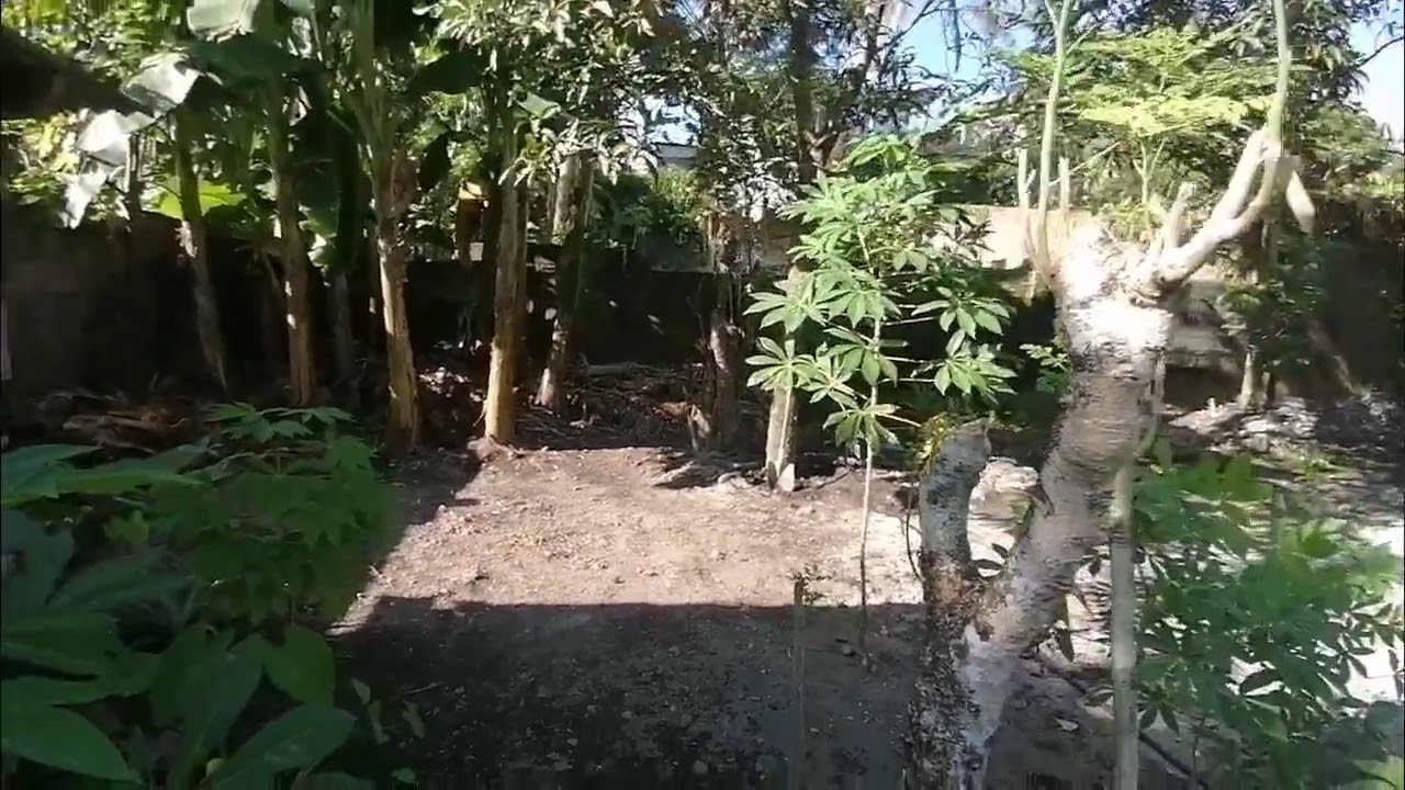 magkakaroon dito ng tolda ng kainan para sa kasalan