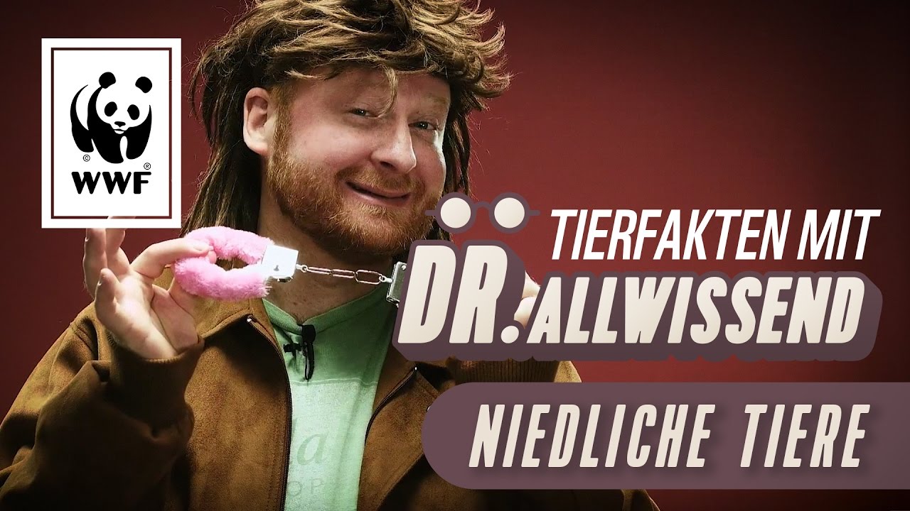 Fakten &uuml;ber s&uuml;&szlig;e Tiere:  Tierfakten mit Dr. Allwissend | WWF Deutschland