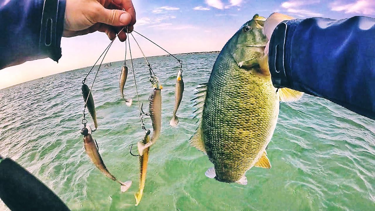 A-Rigs for SMALLMOUTH on LEGENDARY Lake St. Clair!
