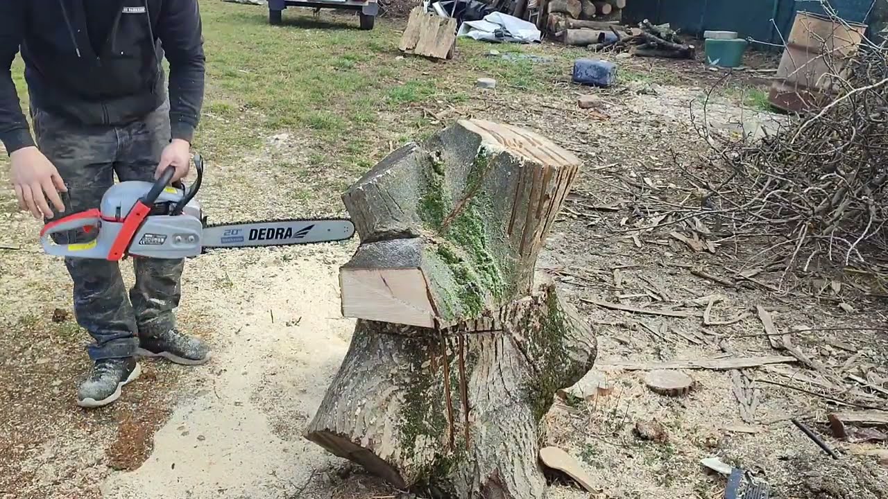 Motorová píla dedra 2.9kw v akcii označenie ded8713 65ccm bude vám ta pila stačit ? na domáce práce