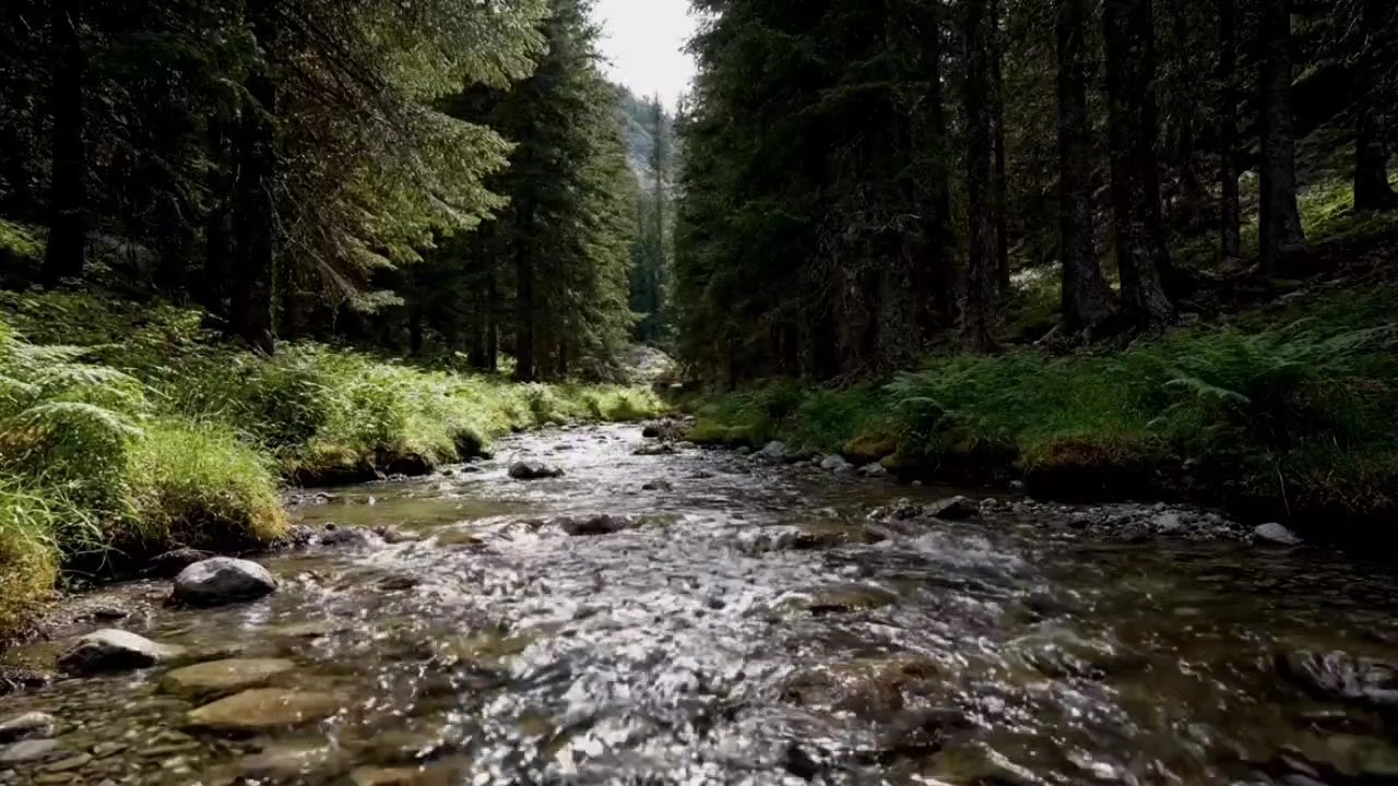 LIVE!Forest River Sounds for Deep Sleep | Peaceful Nature Stream Forest River Sounds