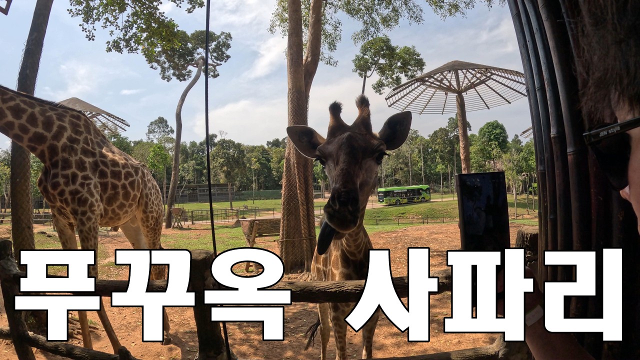베트남 여행 3