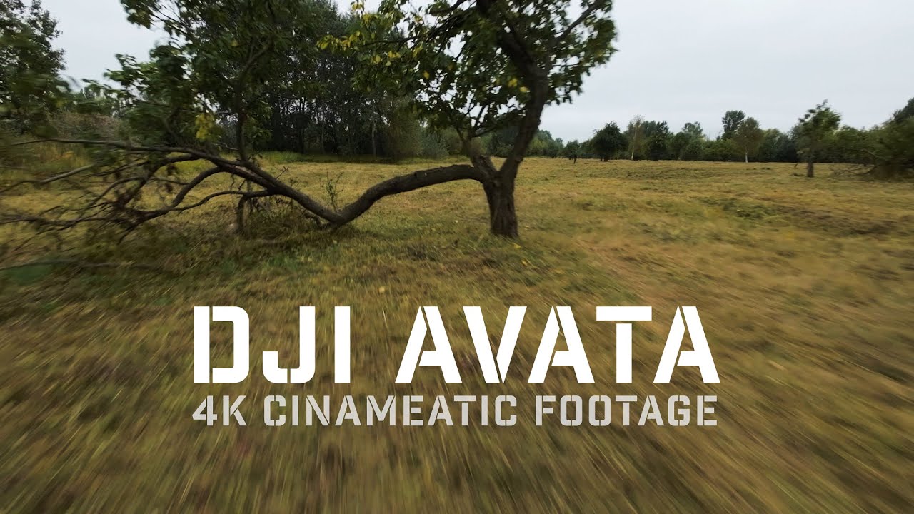 DJI Avata - Meadow. 4K Cinematic footage.