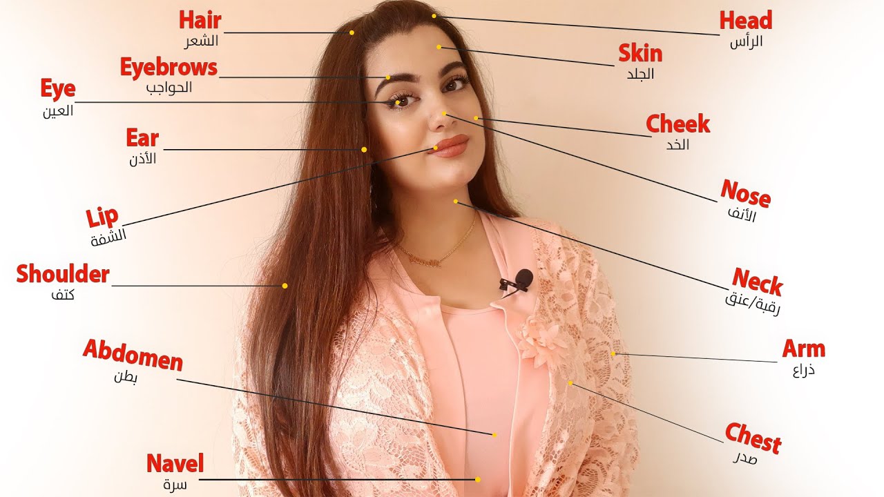 أجزاء جسم الإنسان باللغة الإنجليزية | الحلقة 1