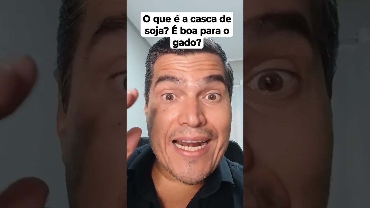 Casca de soja &eacute; boa para o gado?